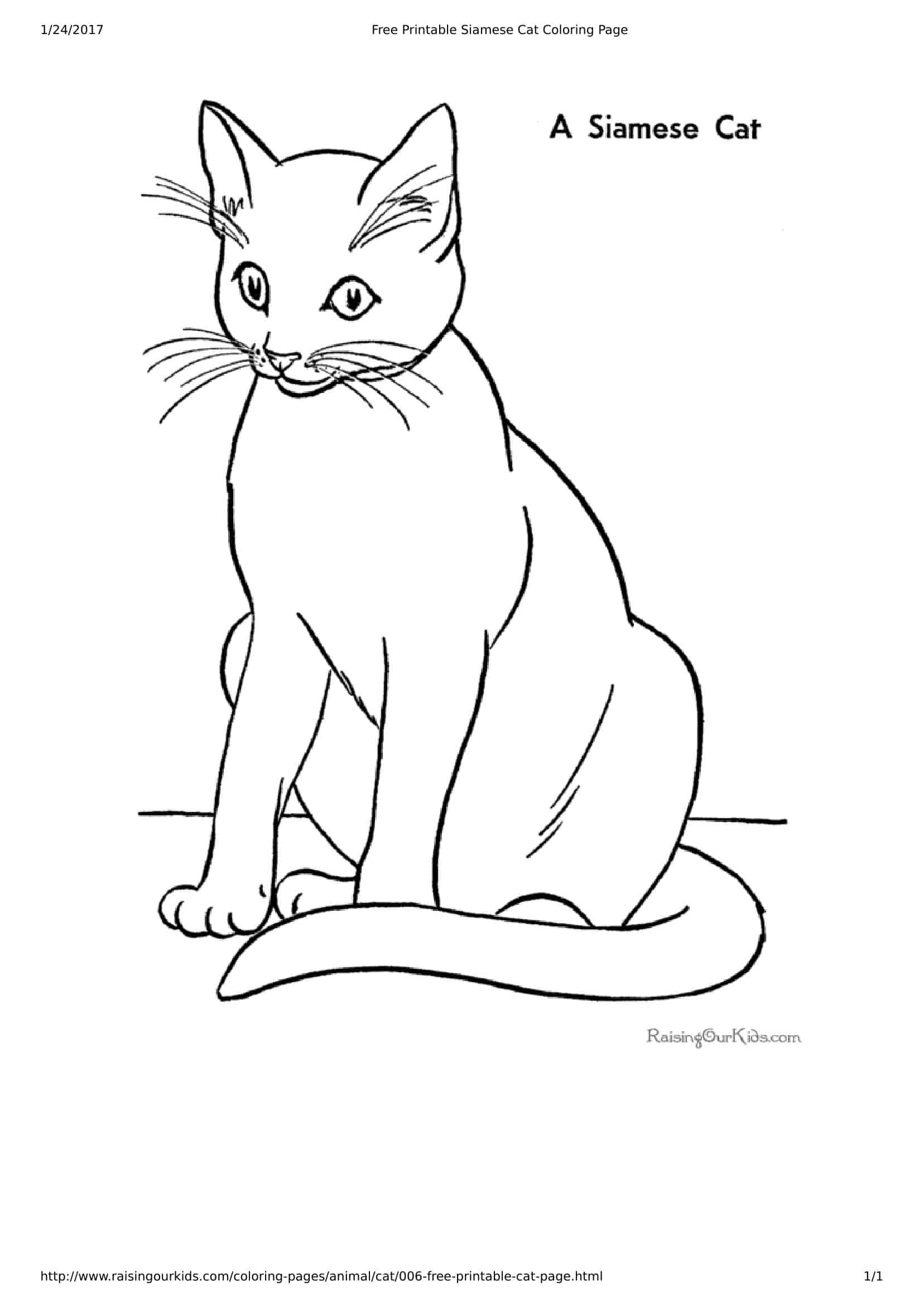 Cat Coloring Pages Word Format Cat Coloring Pages Word Format