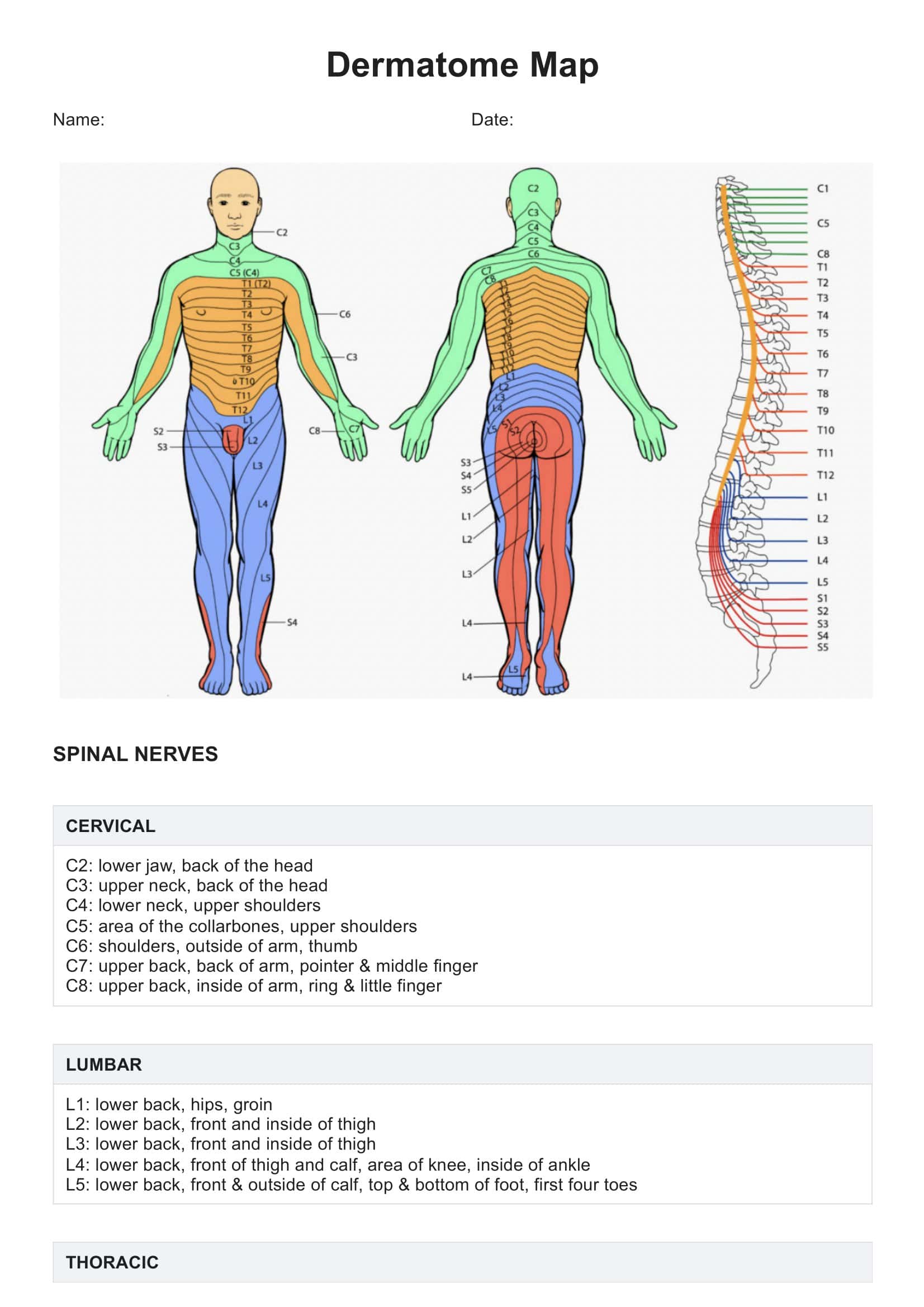 Dermatome Chart Spine Dermatome Chart Spine