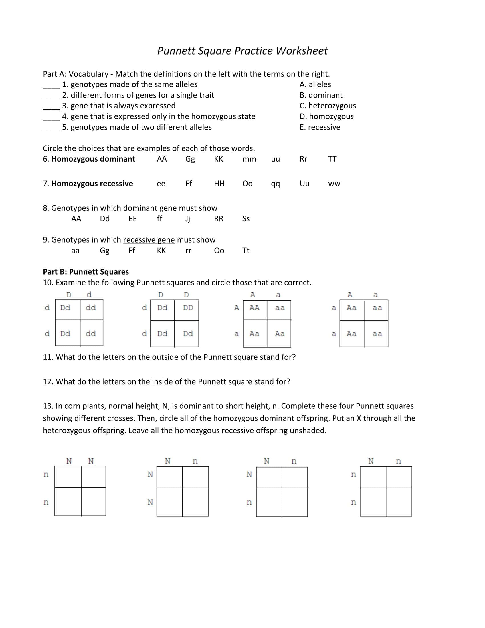 Duchenne Muscular Dystrophy Punnett Square Duchenne Muscular Dystrophy Punnett Square