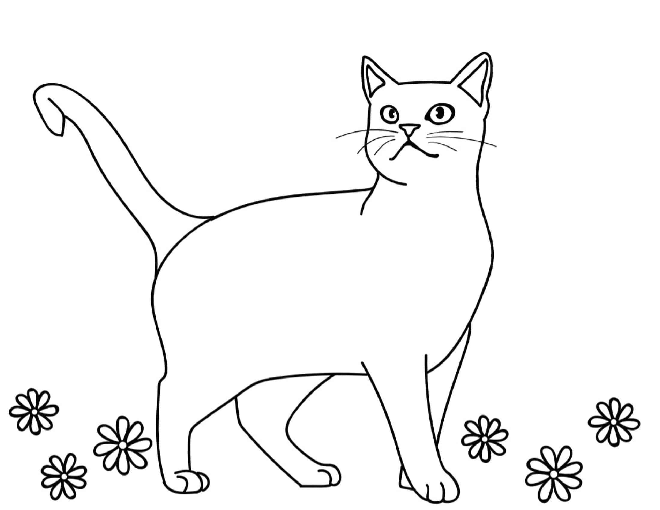 Sample Cat Coloring Pages PDF Sample Cat Coloring Pages PDF
