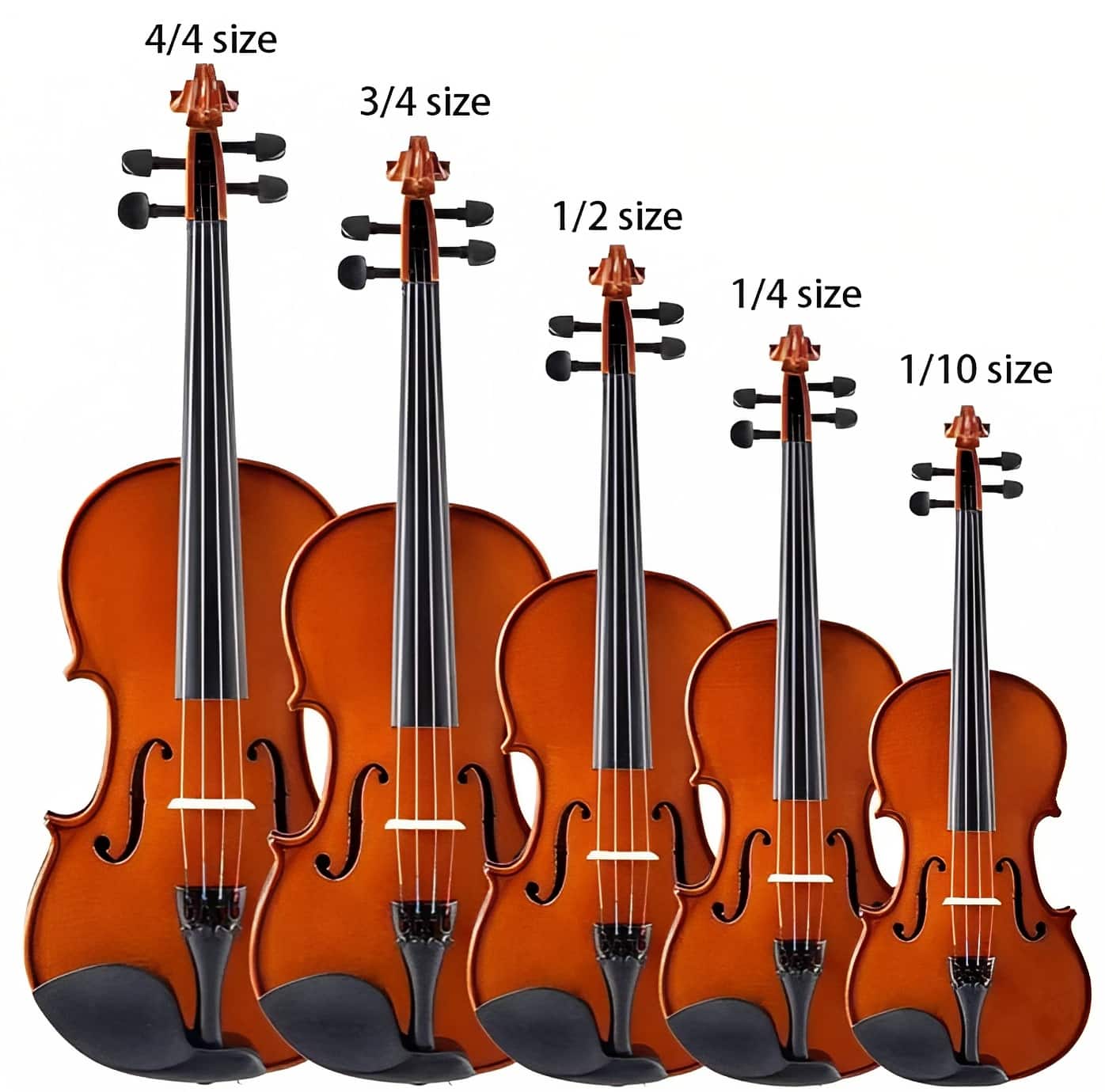Violin Types And Sizes At Frank Thill Blog