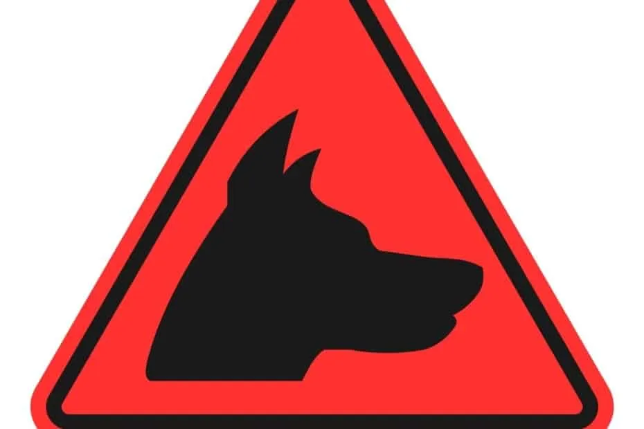 Beware of Dog