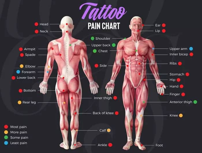Blank Design Tattoo Pain Chart Blank Design Tattoo Pain Chart