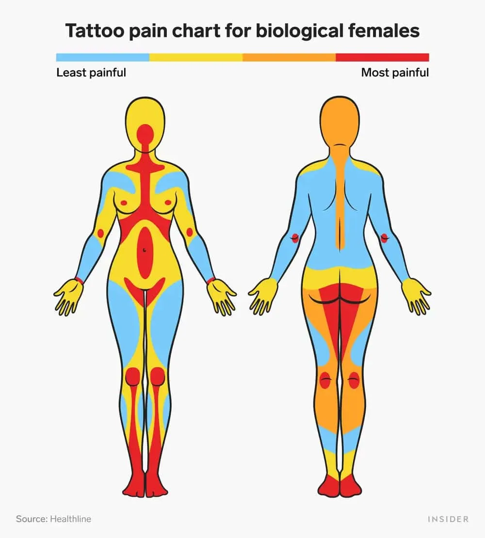 Blank Tattoo Pain Chart Blank Tattoo Pain Chart