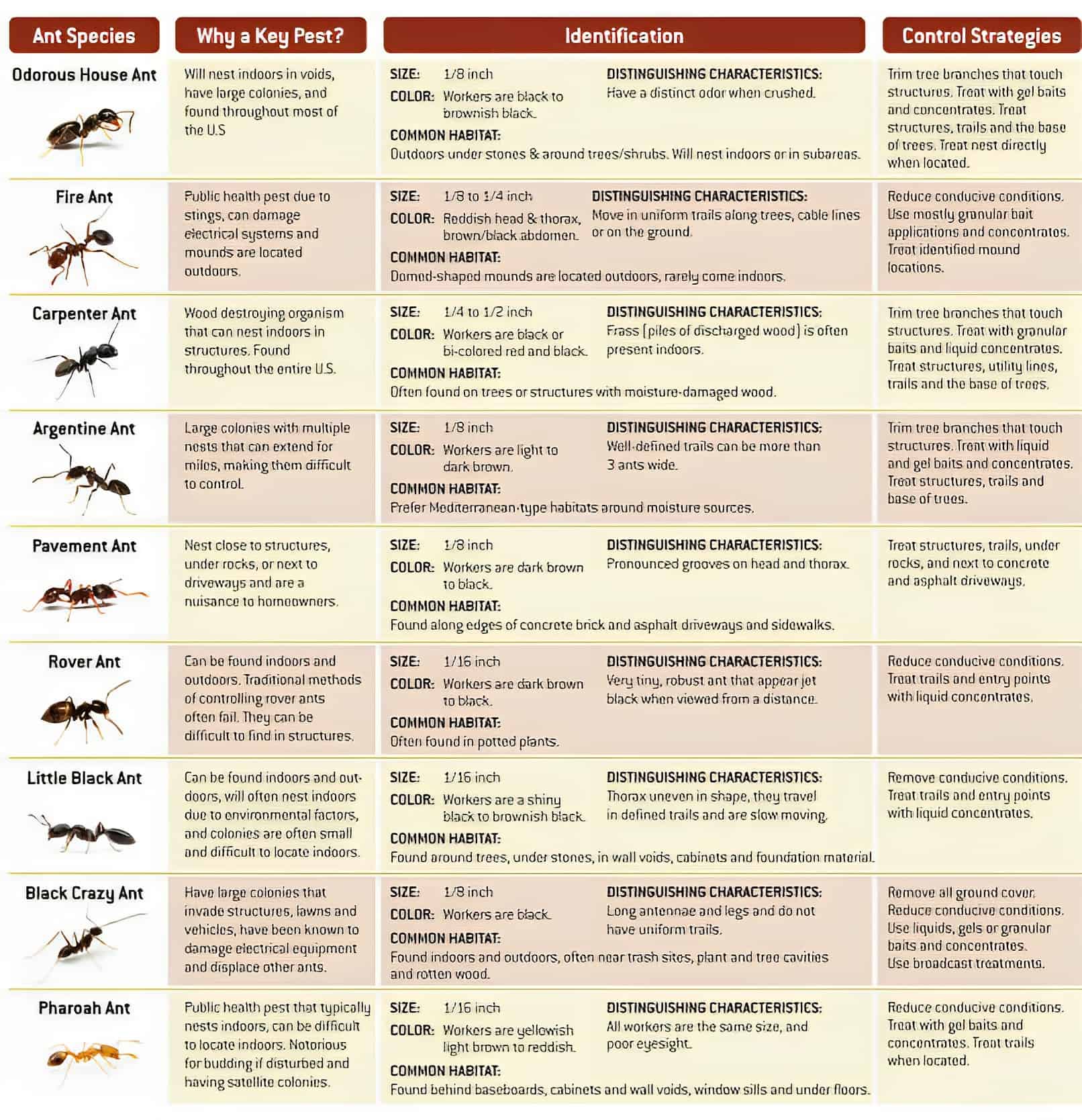 HD Sample Ant Identification Chart HD Sample Ant Identification Chart