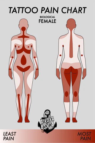 High Quality Tattoo Pain Chart High Quality Tattoo Pain Chart
