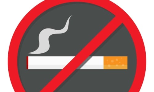 Free Printable No Smoking Sign Templates [PDF, Word] for Car