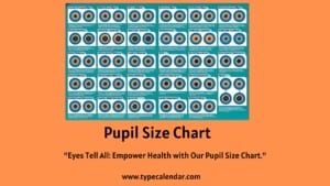 Free Printable Pupil Size Charts [PDF] &amp; Actual Size, MM, Scale