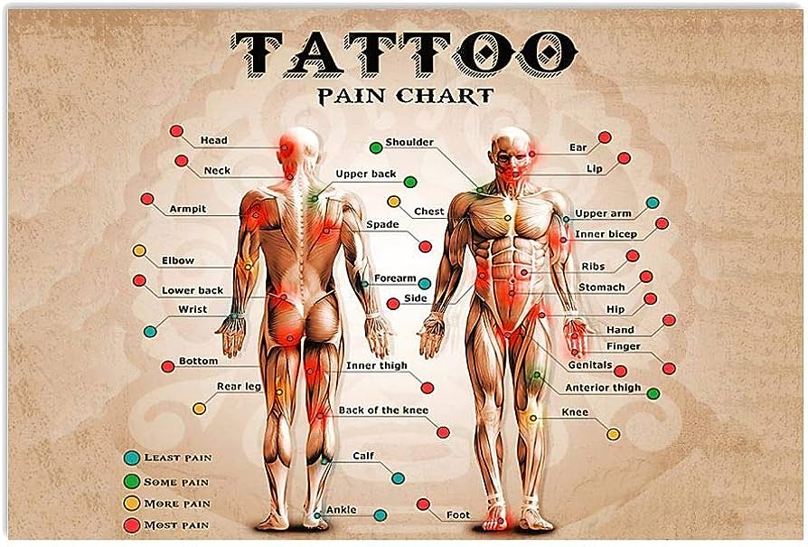 Tattoo Pain Chart PDF Tattoo Pain Chart PDF