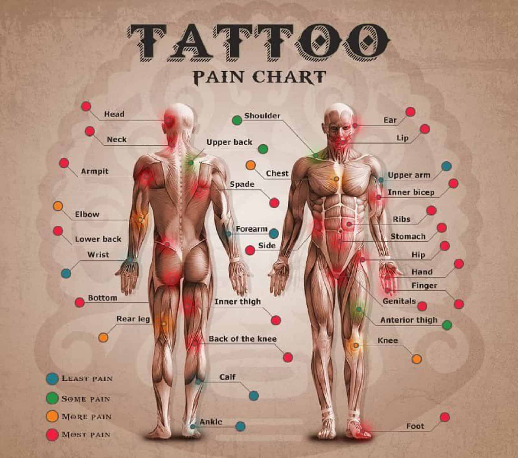 Tattoo Pain Chart Template Tattoo Pain Chart Template