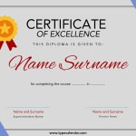 Certificate of Excellence