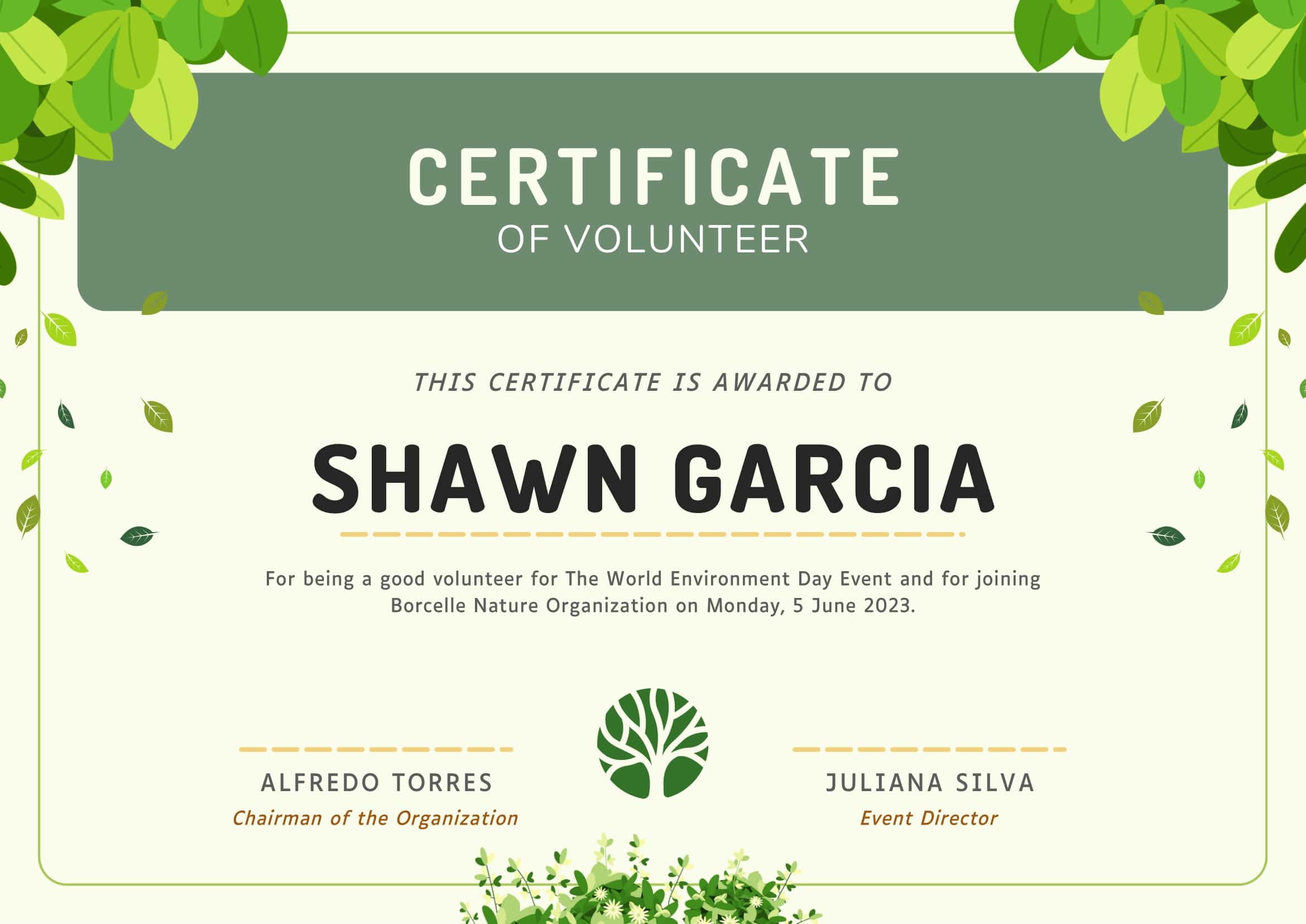 Volunteer Certificate Fillable Volunteer Certificate Fillable